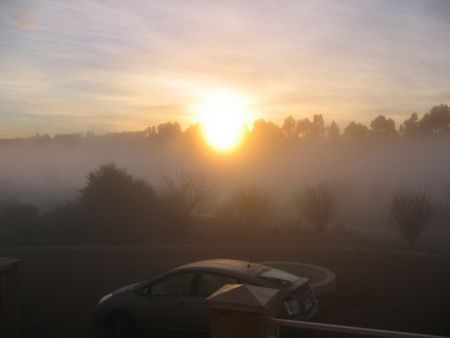 Herman completed sunrise.jpg
